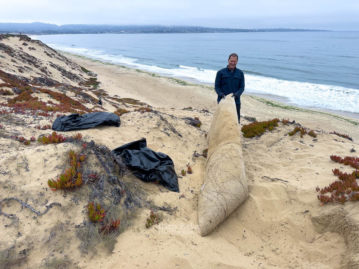 Beach Cleanup Sand City, CA