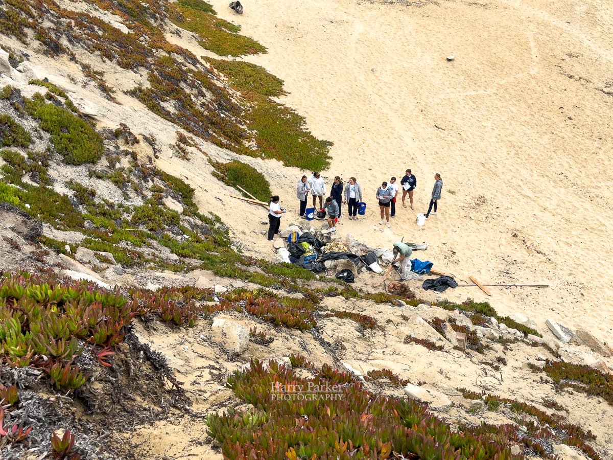 Beach Cleanup Sand City, CA