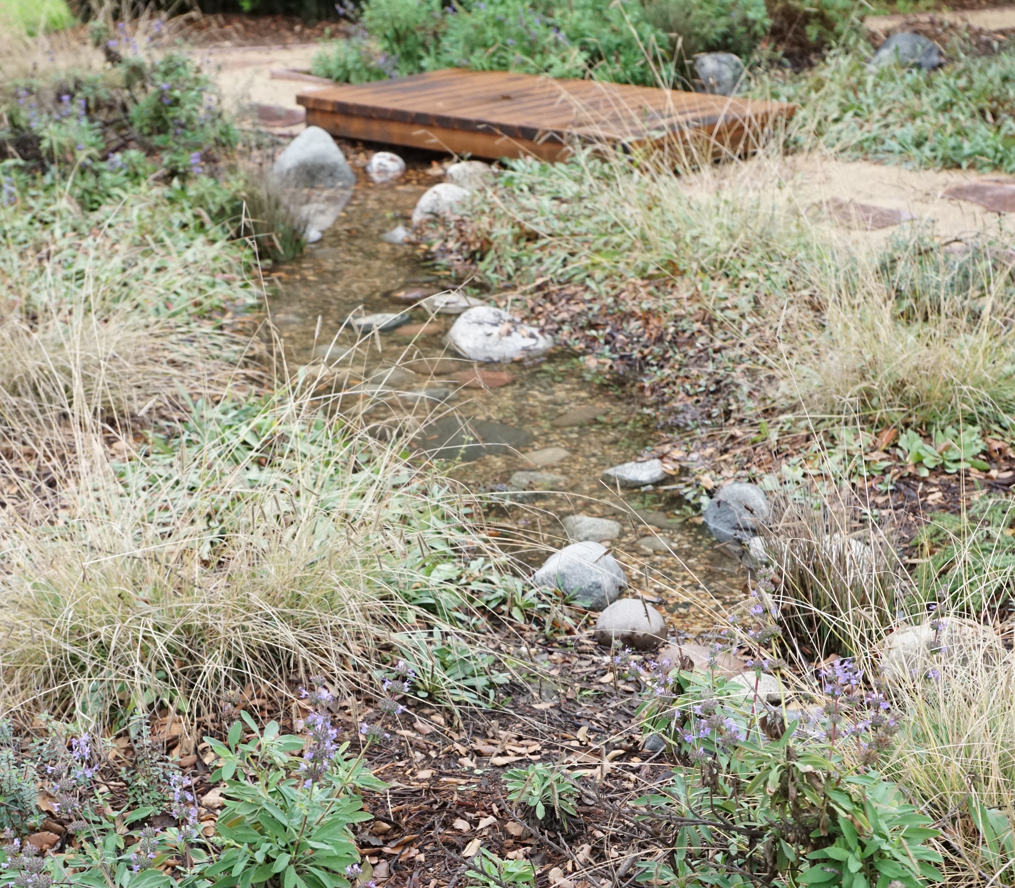 Monterey Ocean Friendly Gardens