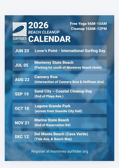 Beach Cleanup 2026 Part 2