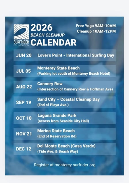 Beach Cleanup 2026 Part 2