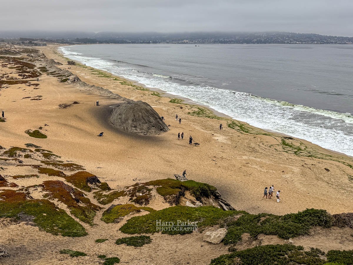 Beach Cleanup Sand City, CA