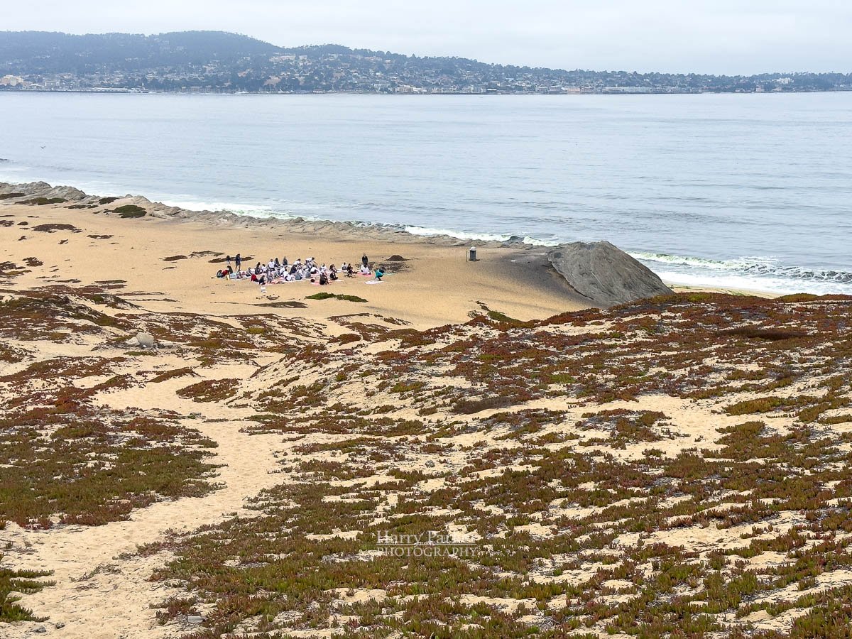 09.26_Surfrider_TrashTurtles-7