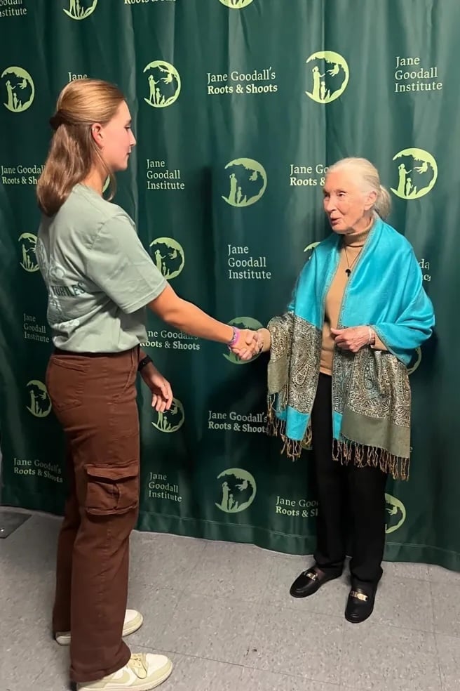 trash turtles jane goodall